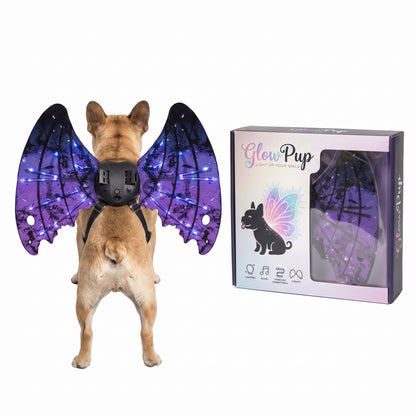 GlowWings™ — LED Dog Wings