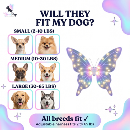 GlowWings™ — LED Dog Wings