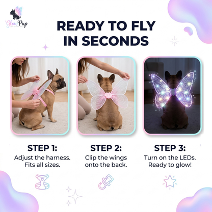 GlowWings™ — LED Dog Wings