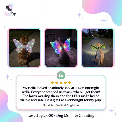 GlowWings™ — LED Dog Wings